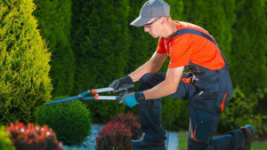 alabama_green_industry_jobs_gardening_services