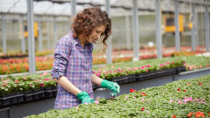 alabama_green_industry_jobs_greenhouse